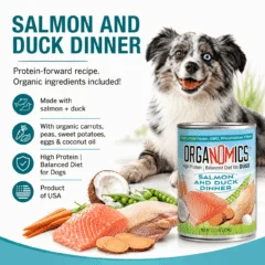 A can of OrgaNOMics Salmon and Duck Dinner for Dogs is displayed alongside a joyful dog, fresh salmon, duck, colorful vegetables, and icons with text highlighting its organic, high-protein ingredients.