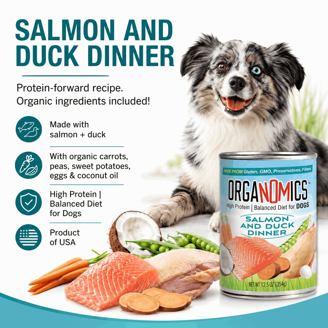 A can of OrgaNOMics Salmon and Duck Dinner for Dogs is displayed alongside a joyful dog, fresh salmon, duck, colorful vegetables, and icons with text highlighting its organic, high-protein ingredients.