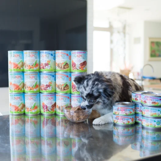 A dog eats from a glass bowl on a kitchen counter, surrounded by stacked cans of dog food labeled "SeaMeals.