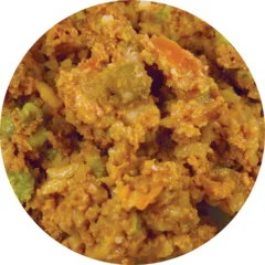 A close-up of OrgaNOMics Salmon and Duck Dinner for Dogs, showcasing a mixed, chunky dish with orange, green, and beige ingredients—likely vegetables in a thick sauce—presented in a circular crop.